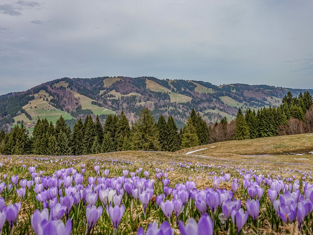 Hündle Wanderung Frau Bergschön